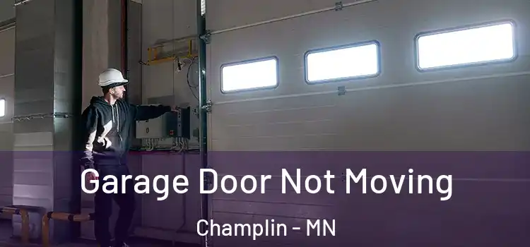  Garage Door Not Moving Champlin - MN