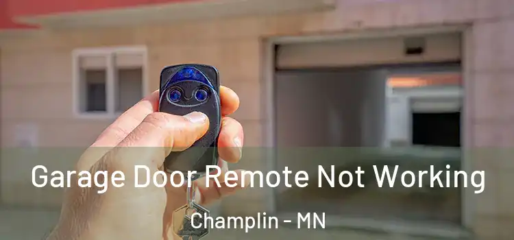  Garage Door Remote Not Working Champlin - MN