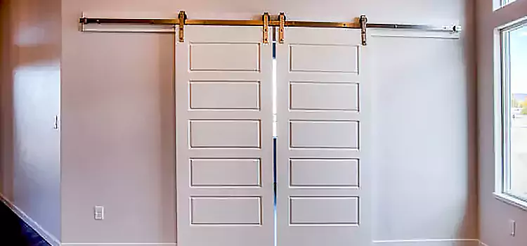 Glass Barn Door with Installation Hardware Kit Champlin
