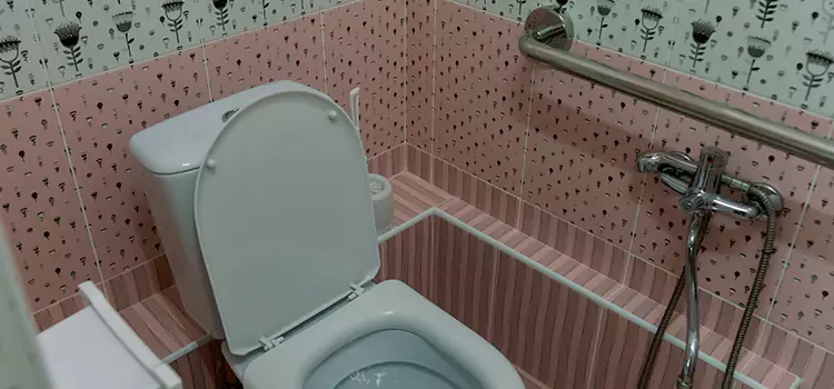 Meeting Diverse Needs With Accessible Restroom Solutions in Champlin, MN