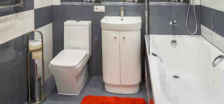 Hansgrohe Shaving Mirror Champlin